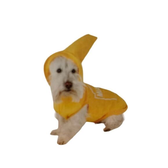 Halloween Mustard Bottle Dog Costume  XS - Picture 2 of 10